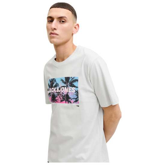 Jack & Jones Ανδρική κοντομάνικη μπλούζα Indiana Crew Neck T-Shirt